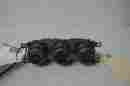 Cd676 05 06 Nissan Altima Heater Air Conditioning A C Climate Control Ib Cd676 05 06 Nissan Altima Heater Air Conditioning A C Climate Control Ib
