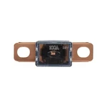 Bussmann BP/FLD-100-RP 100A 32V Fuse. Fixed Price $20.15.